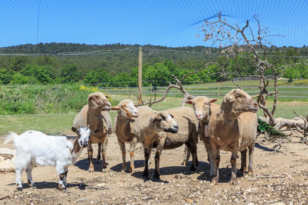 Lou Mas Li Pitchoun "Le Luberon " Villa Gordes Dış mekan fotoğraf