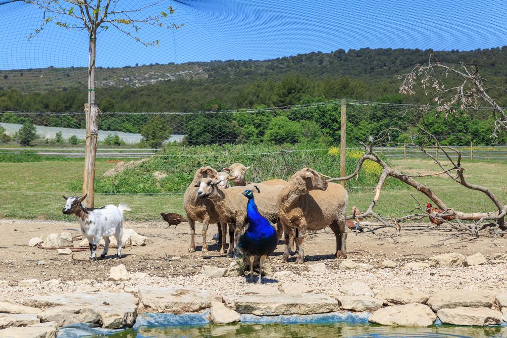 Lou Mas Li Pitchoun "Le Luberon " Villa Gordes Dış mekan fotoğraf