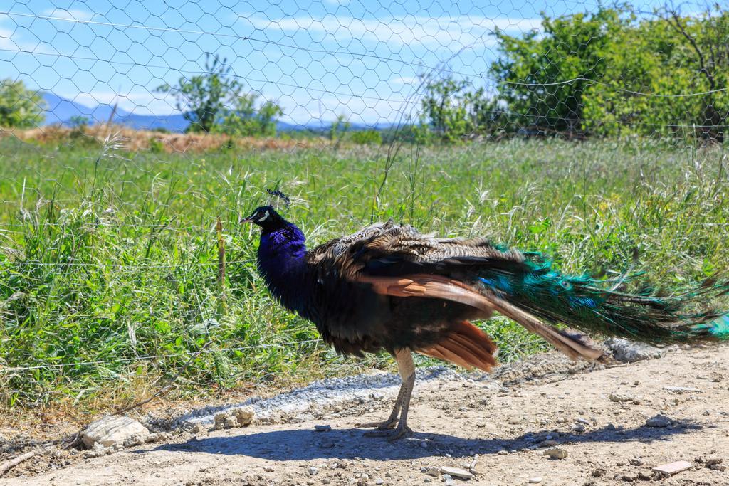 Lou Mas Li Pitchoun "Le Luberon " Villa Gordes Dış mekan fotoğraf